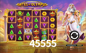 Interface Premium 45555